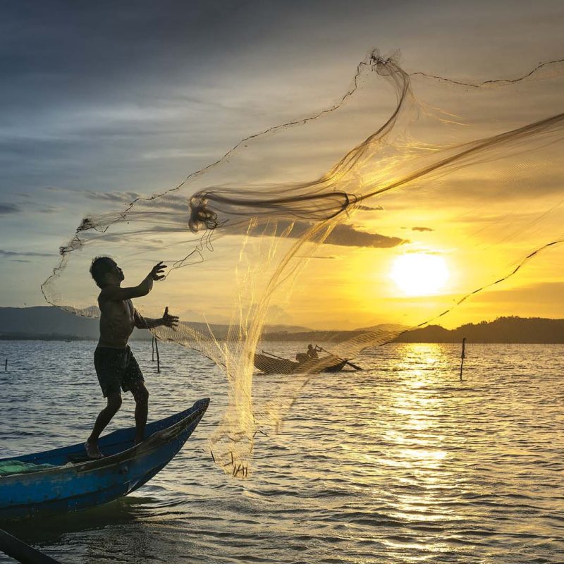Fisherman casting net as sunsets in the background