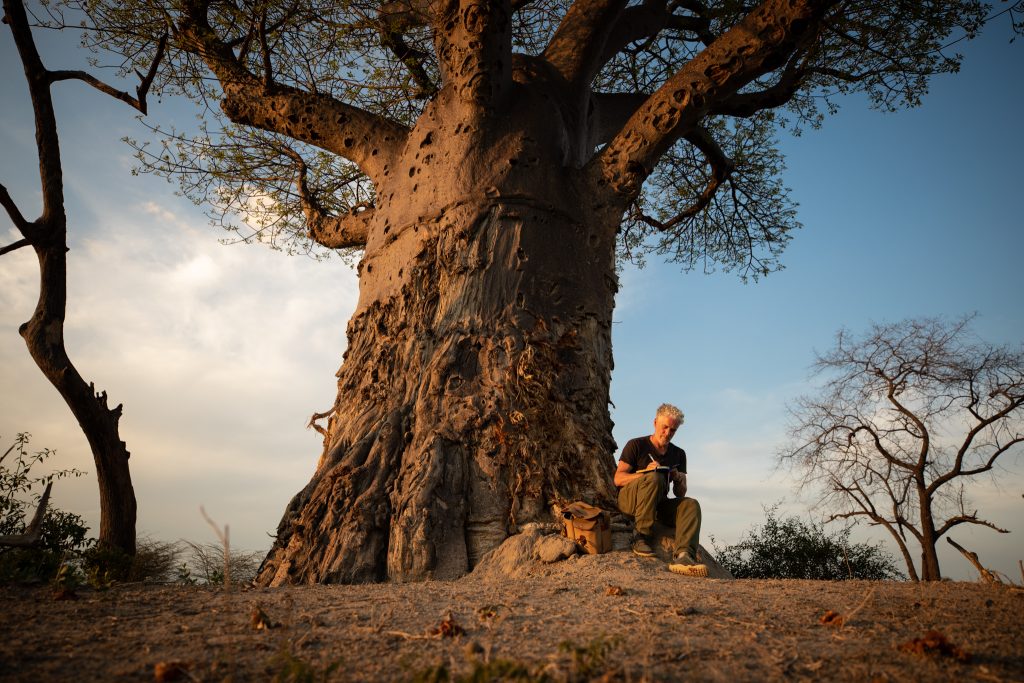 Gordon sat under Baobab
