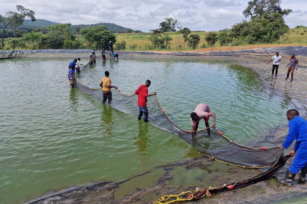 Fishing nets being assembled