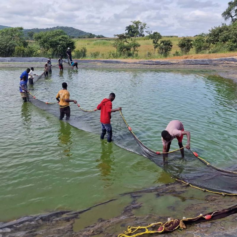 Fishing nets being assembled