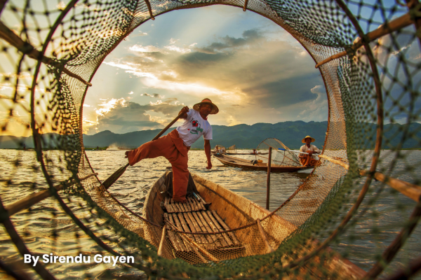 Living with Wildlife Photo Competition Custodians of the Land Finalists